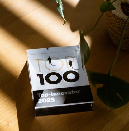 TOP 100 Siegel Das Siegel des TOP 100 Innovationswettbewerb auf einem Holztisch. Es fallen Sonnenstrahlen über das Siegel, ein Blatt einer Pflanze hängt leicht in das Bild